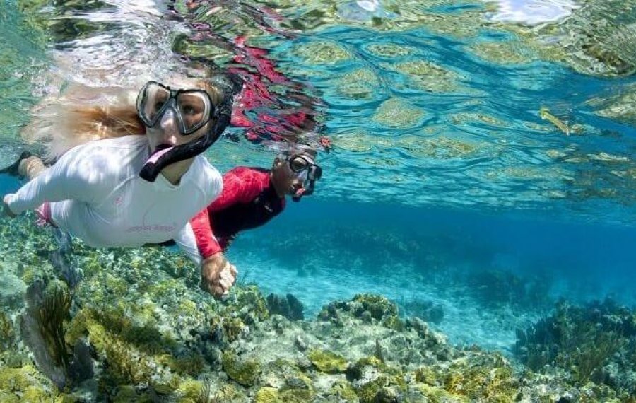 Snorkeling - Sri Lanka