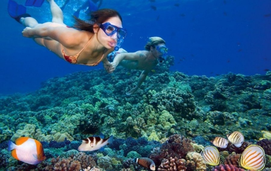 Snorkeling - Sri Lanka