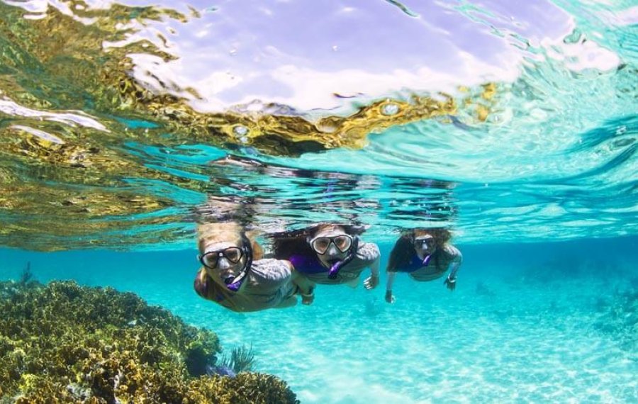 Snorkeling - Sri Lanka