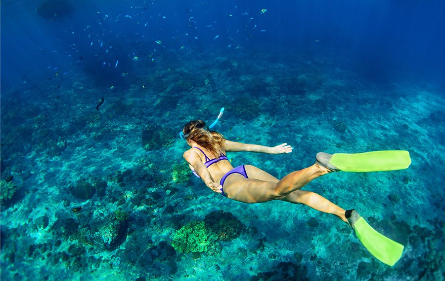 Snorkeling - Sri Lanka