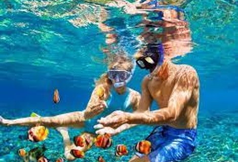 Snorkeling - Sri Lanka