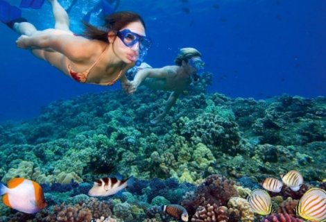Snorkeling - Sri Lanka