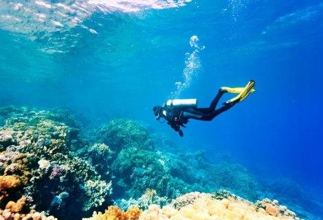 Diving - Sri Lanka