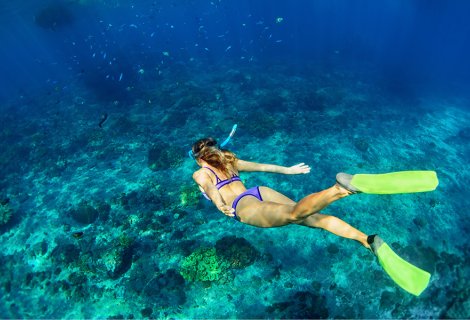 Snorkeling - Sri Lanka